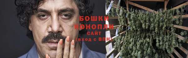 дмт Покачи