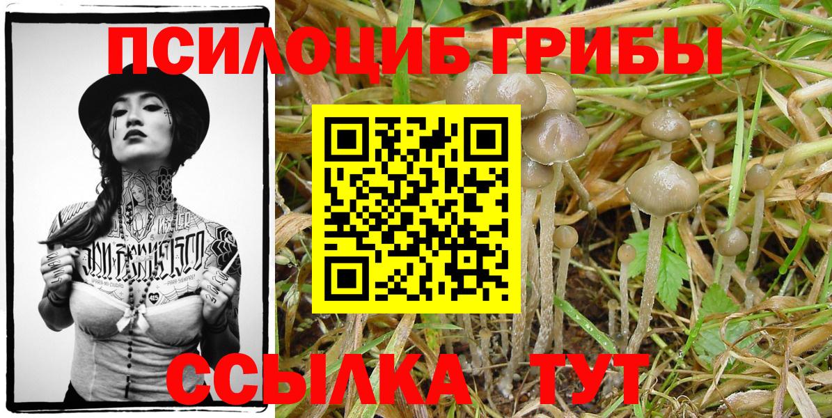 Галлюциногенные грибы Cubensis  Вход с VPN  Полысаево 