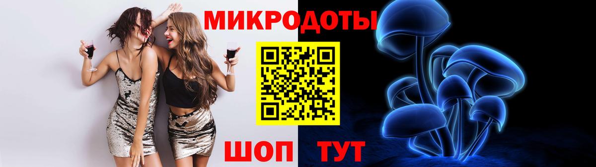 Галлюциногенные грибы Psilocybe Полысаево